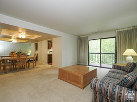 Photo 4 for 5536 S Springtree Ln #A