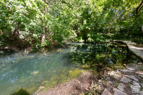 Photo 6 for 2318 E Walker Ln