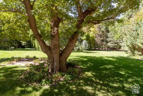 Photo 4 for 2318 E Walker Ln