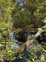 13 E Birch Creek Dr MLS #2111613