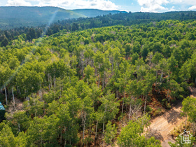 2919  Green Briar Way MLS #2113111