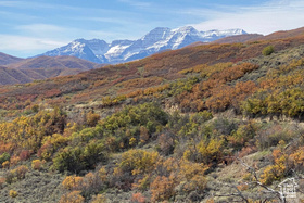 Address Not Available MLS #2113133