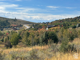 833 S Eutaw Rd #46 MLS #2113148