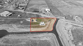 295 E Lucille Ln #1 MLS #2113764