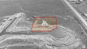 258 E Lucille Ln #5 MLS #2113774