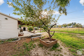 Photo 2 for 4353 W 3335 South