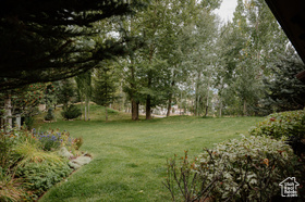 Photo 2 for 1084 Matterhorn Ct #46