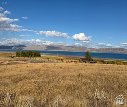 167  Wandering Daisy Dr MLS #2114557