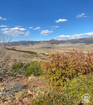 Address Not Available MLS #2115328