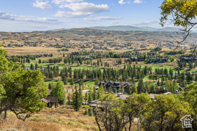 1146  Snow Berry St MLS #2115390