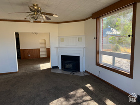 Photo 3 for 44 N Ducksprings Dr