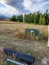 305 W Buttercup Ln MLS #2115699