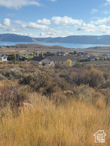 2822  Bunch Grass Dr MLS #2115817