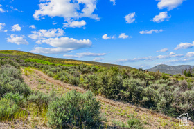 Photo 4 for 3068 Hills Ridge Rd