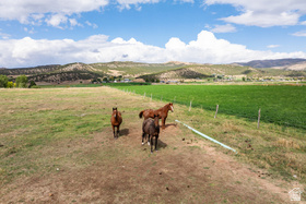 485  Border Station Rd MLS #2116001