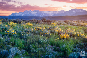 1115 E Hoyt Peak Ranch Rd MLS #2116036