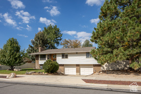 Photo 4 for 1747 E Sugarloaf Dr