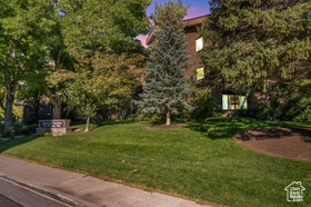Photo 1 for 939 S Donner Way #305