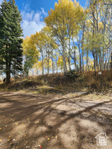 771  Porcupine Loop MLS #2116995