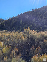 Address Not Available MLS #2117051