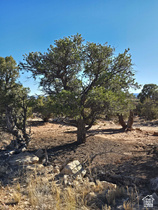 Address Not Available MLS #2117086