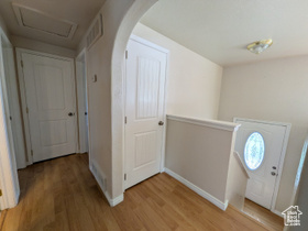 Photo 4 for 282 Appaloosa Loop