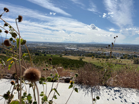 4185 N Moose Ln MLS #2117663