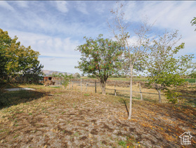 Photo 6 for 635 E Wildrose Dr