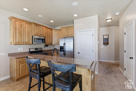 Photo 5 for 10459 S Sage Wood Way