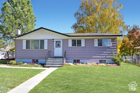 Photo 1 for 1003 Flamingo St