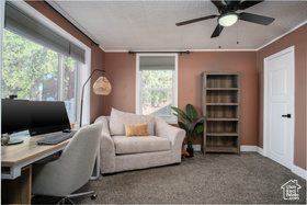 Photo 6 for 557 S Angel St