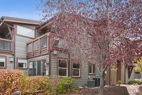 Photo 4 for 6296 N Park Ln #13