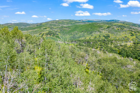 11708  Canyon Rim Rd MLS #2118203