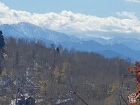 1839 W Valley Vista Dr MLS #2118268