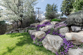 Photo 6 for 770 Orchard Dr