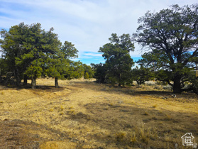 Address Not Available MLS #2118636