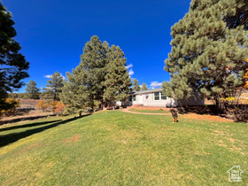 Photo 3 for 75 W Dude Ranch Rd
