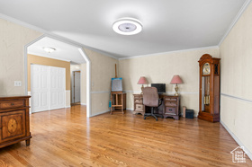 Photo 4 for 10182 S Chattel Cir