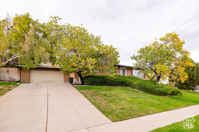 Photo 4 for 209 E Dorchester Dr