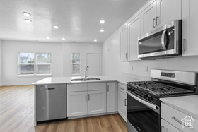 Photo 5 for 259 W 925 North #I-52