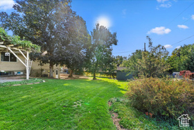 Photo 6 for 3197 Mount Lomond Dr