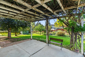Photo 5 for 3197 Mount Lomond Dr