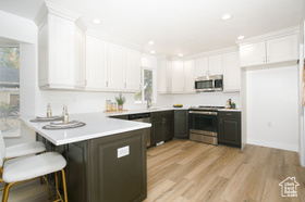 Photo 5 for 2216 W Birdsong Rd