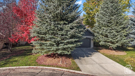Photo 4 for 1097 N Matterhorn Ct