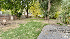 Photo 5 for 1760 Pingree Ave