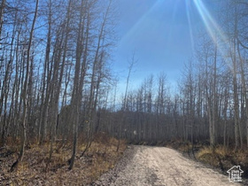 2307 S Aspen Ridge Dr MLS #2119650