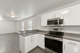 Photo 4 for 1700 S Sandhill Rd #C101