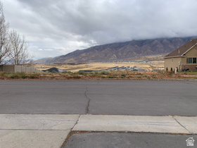 1287 S Cedar Pass Dr MLS #2120531