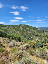 Address Not Available MLS #2120704