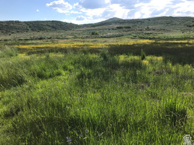 60  Corral Rd MLS #2120785